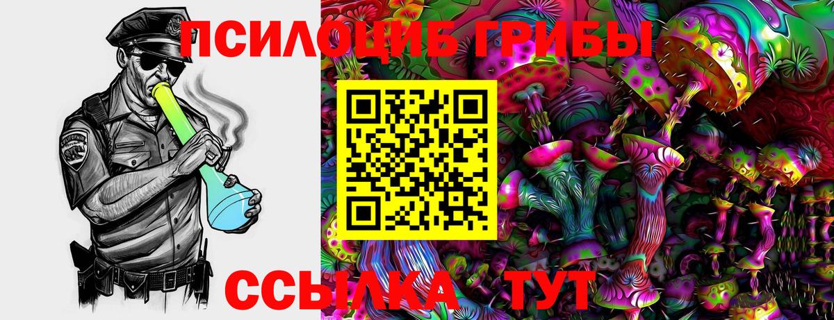 Галлюциногенные грибы Psilocybine cubensis  Вход с VPN  Ипатово 
